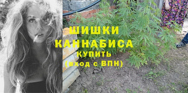 прущие грибы Баксан