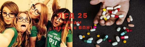 прущие грибы Баксан