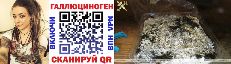 где найти наркотики  Саров  Псилоцибиновые грибы GOLDEN TEACHER 