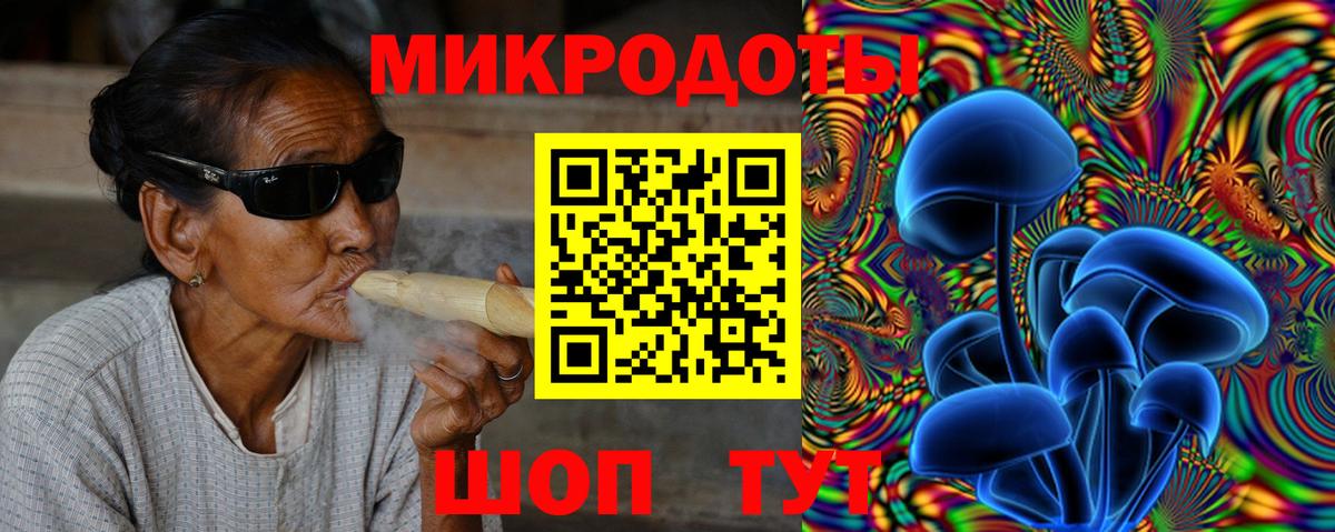 Псилоцибиновые грибы GOLDEN TEACHER  где купить наркоту  Саров  Вход с VPN 